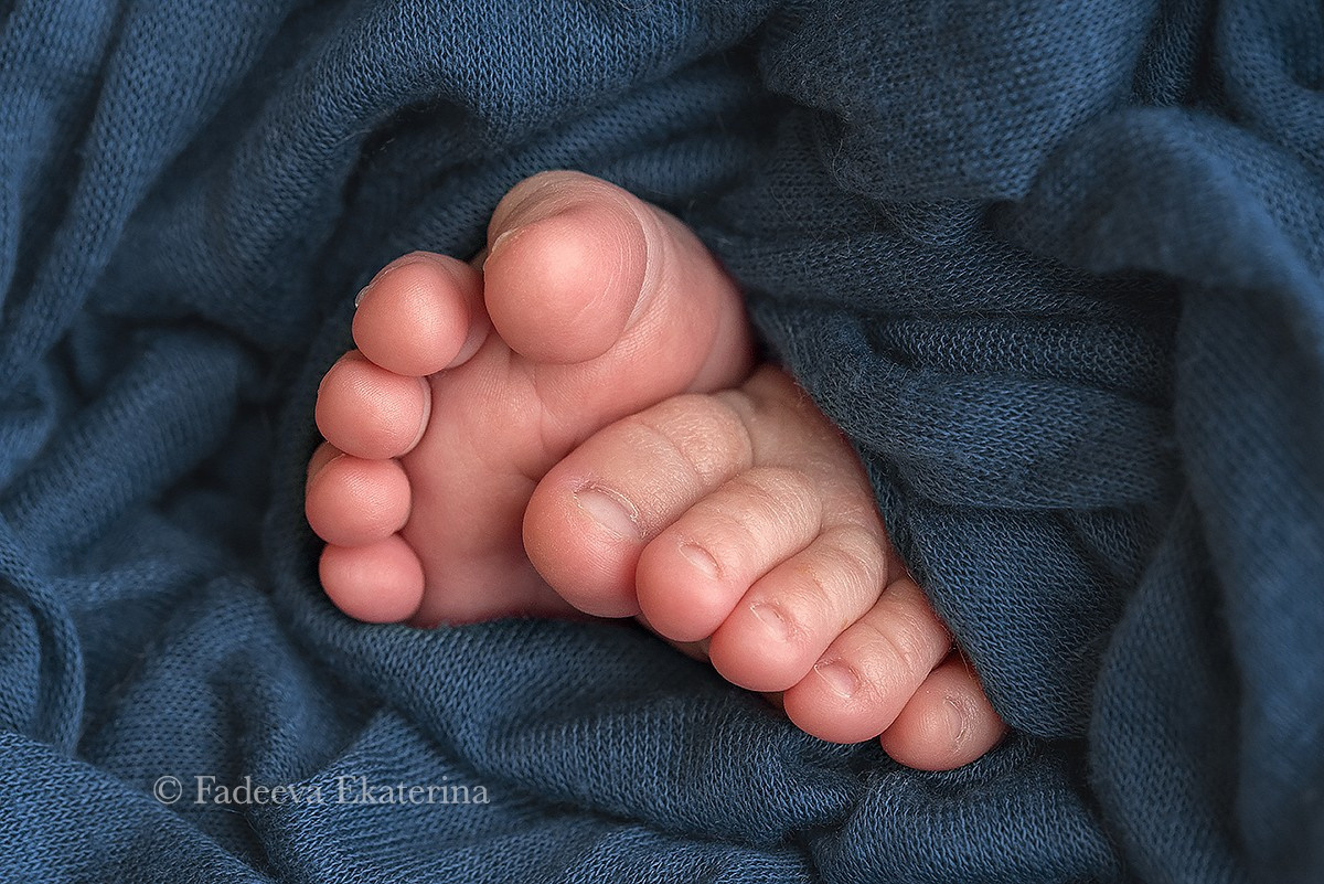 Новорожденные. Фотограф новорожденных Санкт-Петербург Екатерина Фадеева