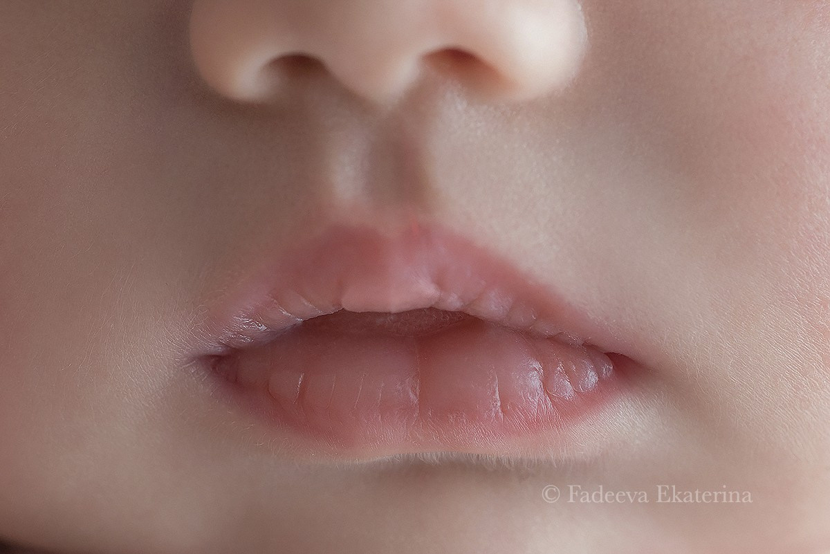 Новорожденные. Фотограф новорожденных Санкт-Петербург Екатерина Фадеева