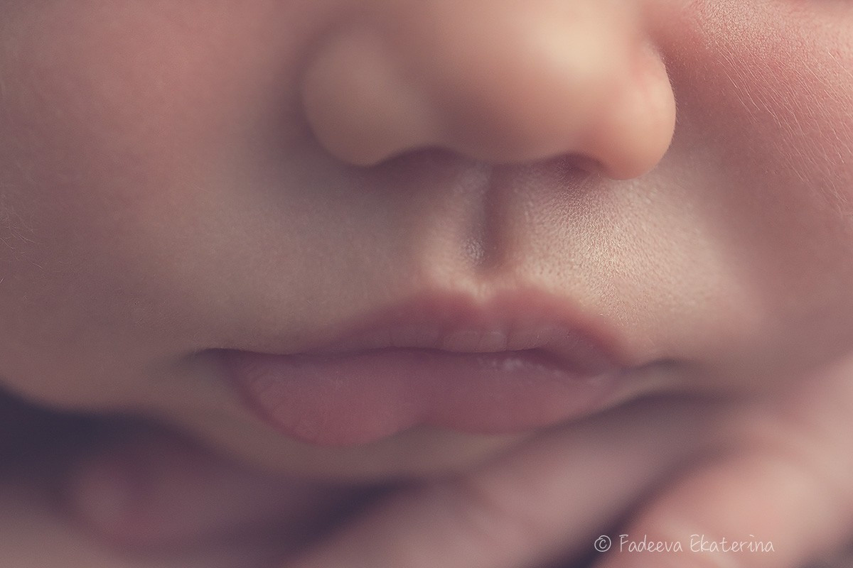 Новорожденные. Фотограф новорожденных Санкт-Петербург Екатерина Фадеева