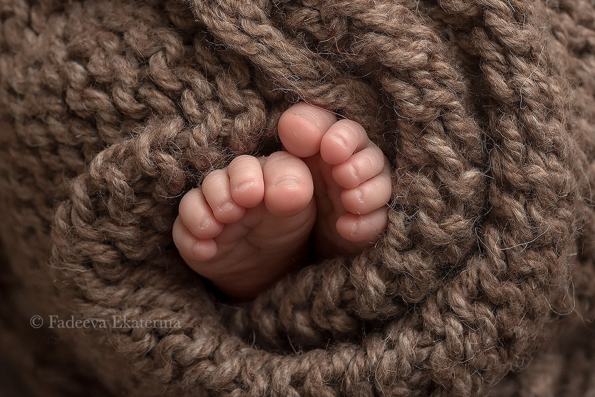 Новорожденные. Фотограф новорожденных Санкт-Петербург Екатерина Фадеева