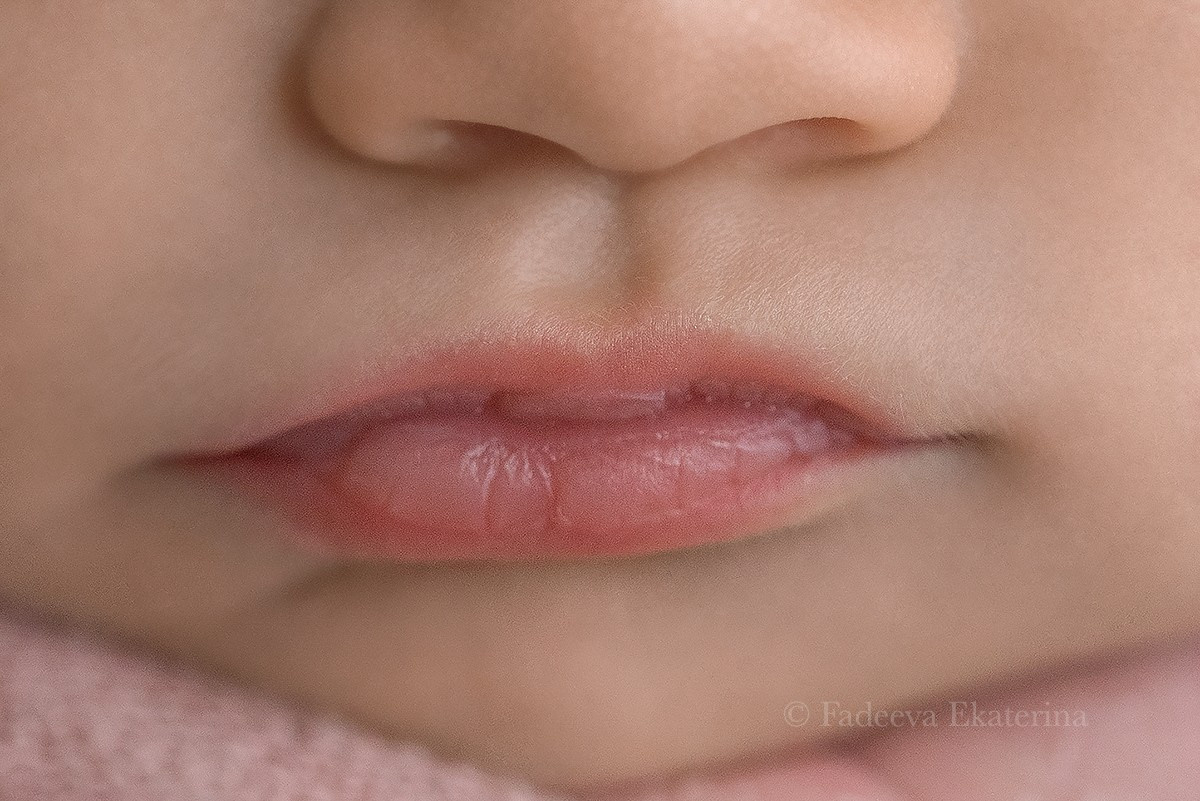 Новорожденные. Фотограф новорожденных Санкт-Петербург Екатерина Фадеева