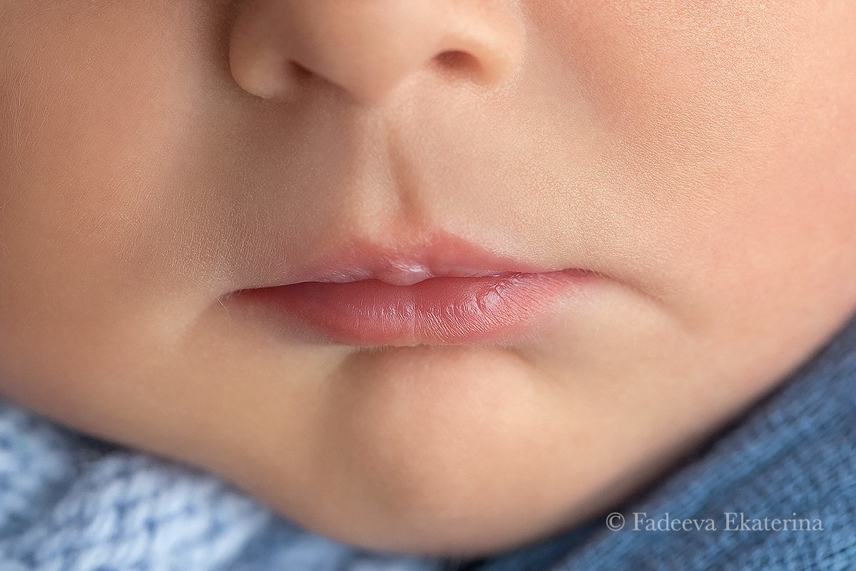 Новорожденные. Фотограф новорожденных Санкт-Петербург Екатерина Фадеева