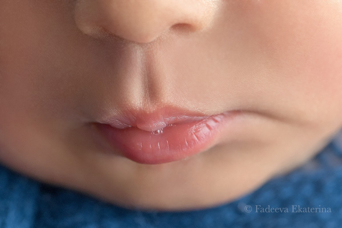 Новорожденные. Фотограф новорожденных Санкт-Петербург Екатерина Фадеева