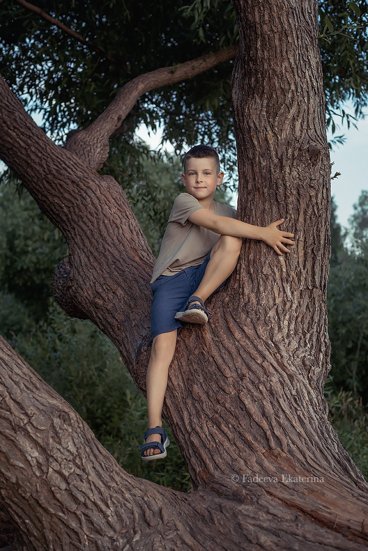 Семейный альбом