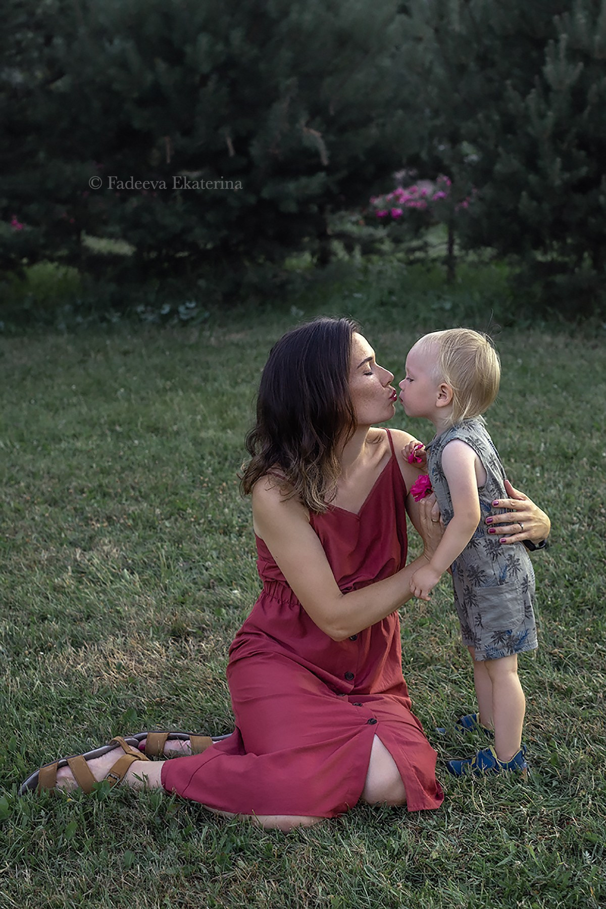 Семейный альбом