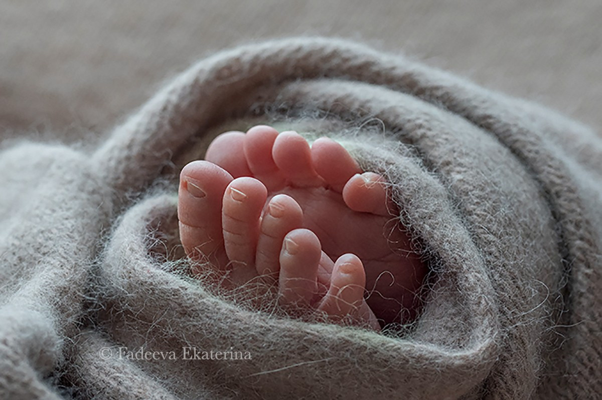 Новорожденные. Фотограф новорожденных Санкт-Петербург Екатерина Фадеева