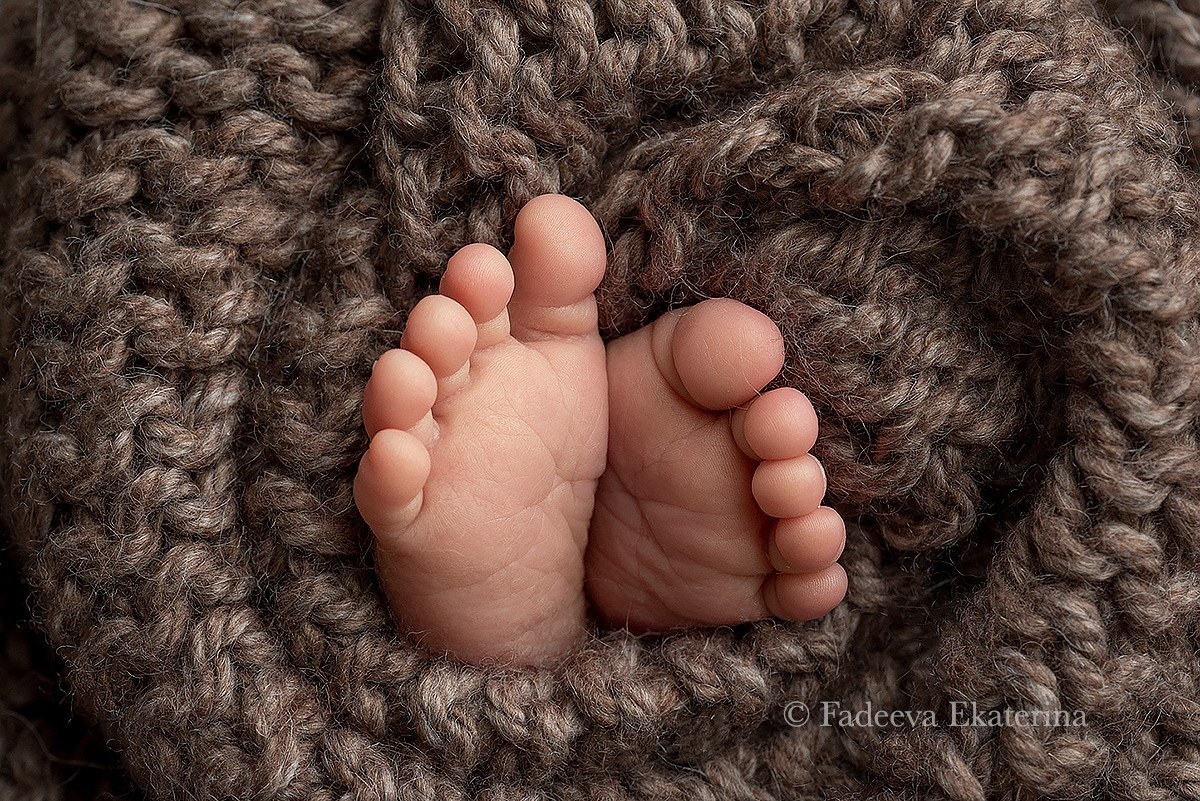 Новорожденные. Фотограф новорожденных Санкт-Петербург Екатерина Фадеева