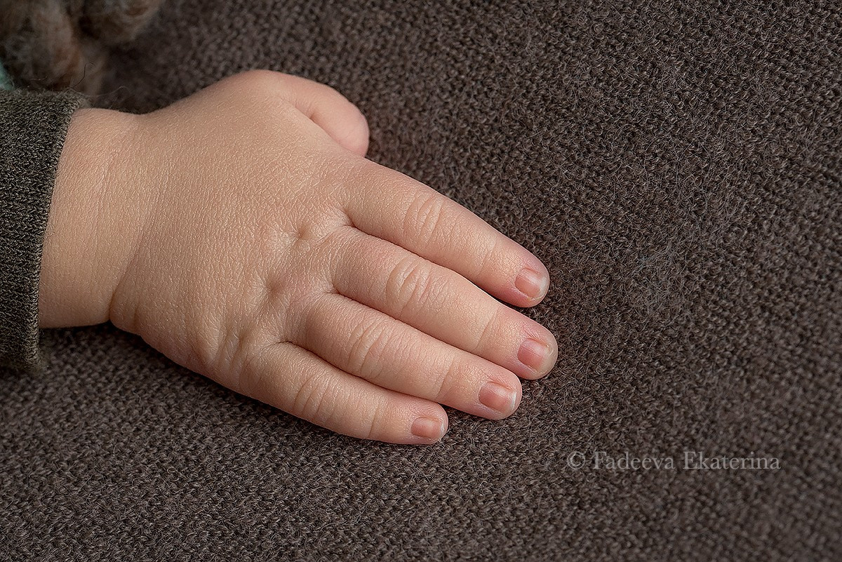 Новорожденные. Фотограф новорожденных Санкт-Петербург Екатерина Фадеева