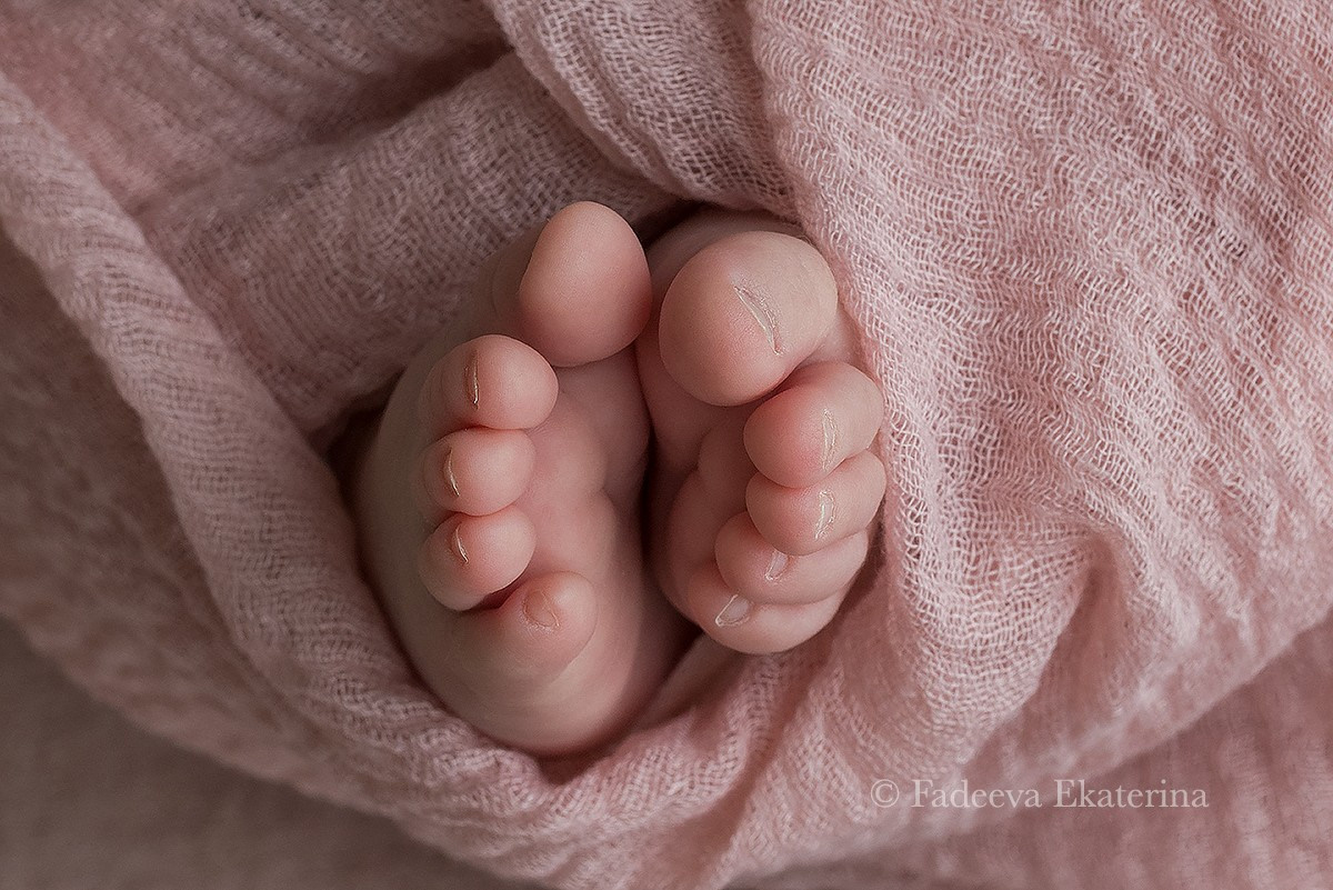 Новорожденные. Фотограф новорожденных Санкт-Петербург Екатерина Фадеева