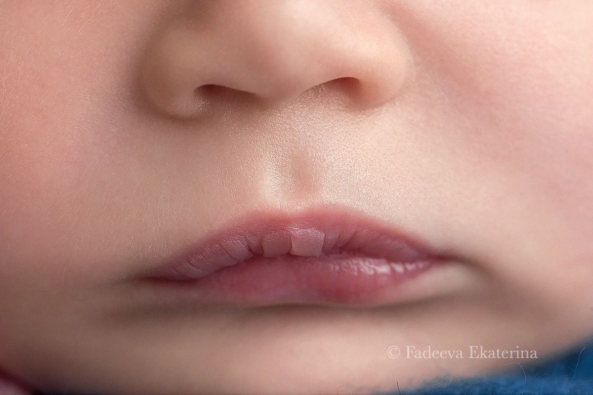 Новорожденные. Фотограф новорожденных Санкт-Петербург Екатерина Фадеева