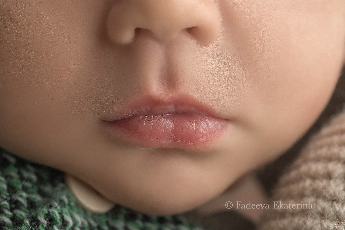 Новорожденные. Фотограф новорожденных Санкт-Петербург Екатерина Фадеева