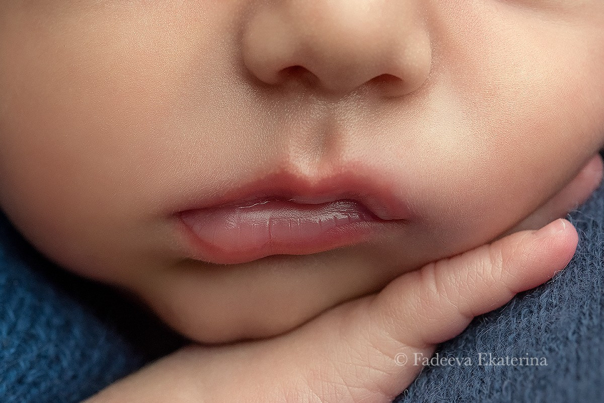Новорожденные. Фотограф новорожденных Санкт-Петербург Екатерина Фадеева