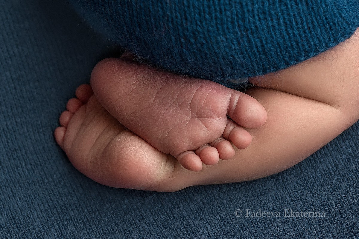 Новорожденные. Фотограф новорожденных Санкт-Петербург Екатерина Фадеева