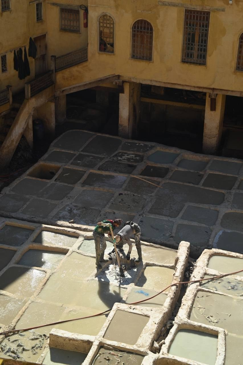 Марокко. Кибернетика и гармония