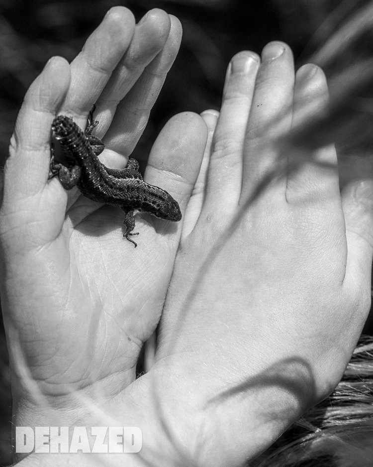 DEHAZED. Фотографии Лены Соколовой