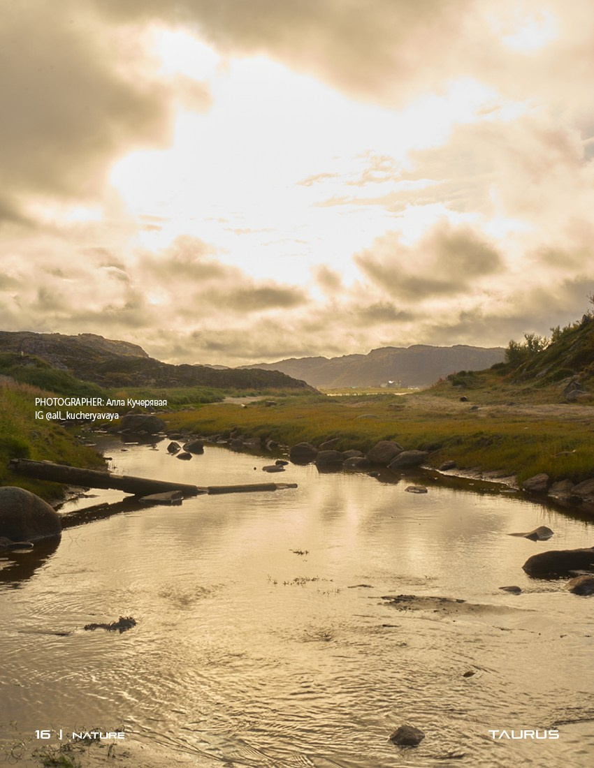 Публикации. Кучерявая || Фотограф || Самара·Питер·Москва