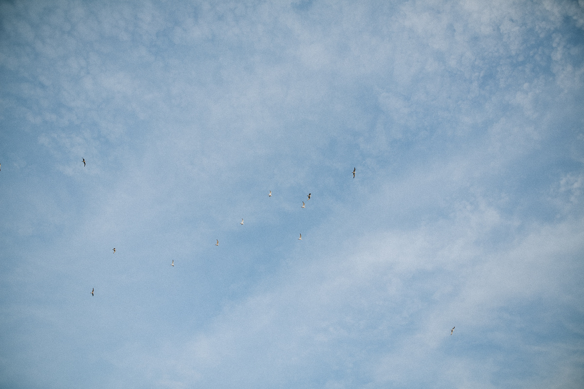 Счастливые Мила и Ваня. Соня Черных (sophieblack)