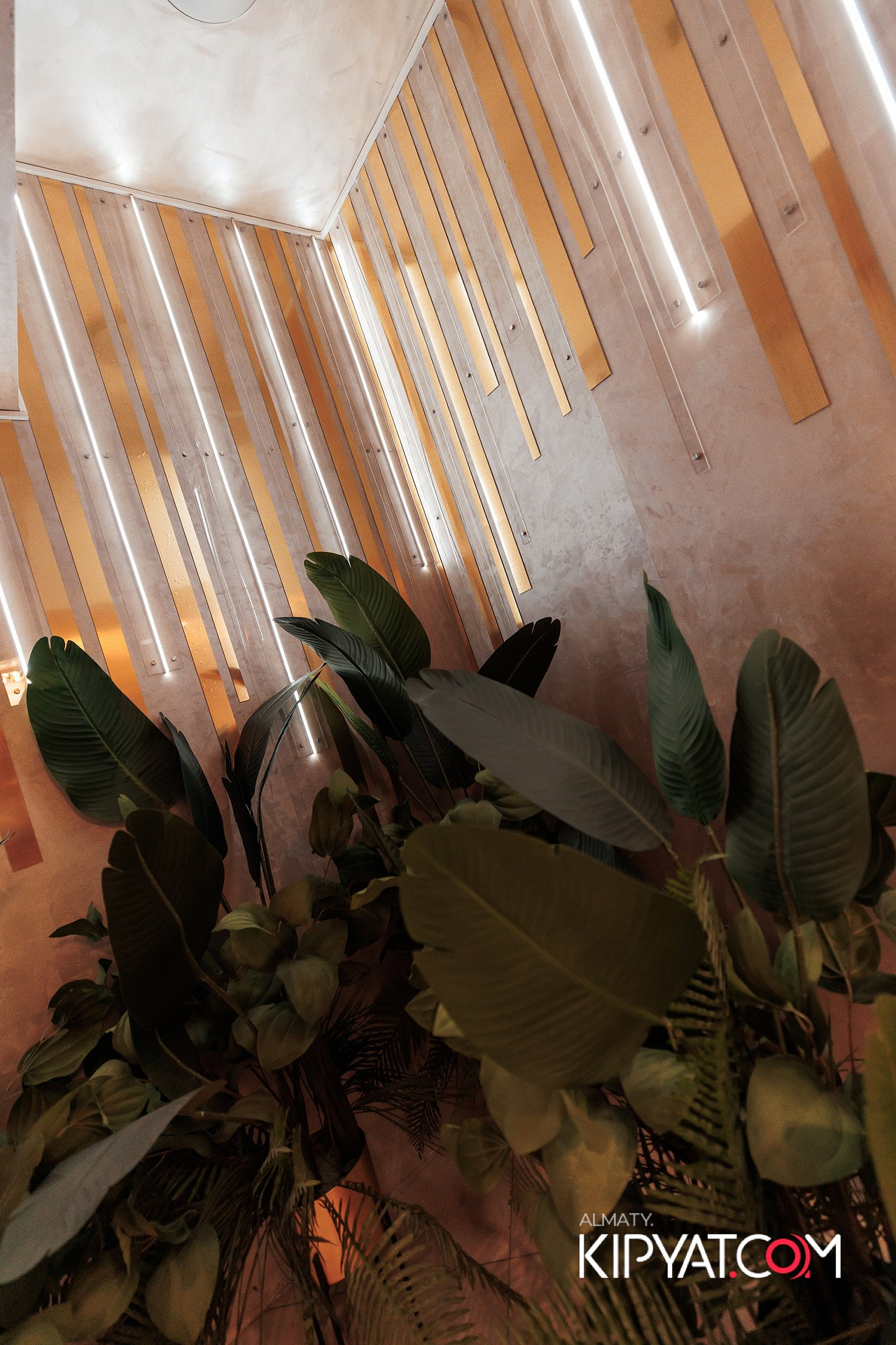 УХО И МЕДВЕДЬ НА КУРМАНГАЗЫ. КИПЯТКОМ АЛМАТЫ!