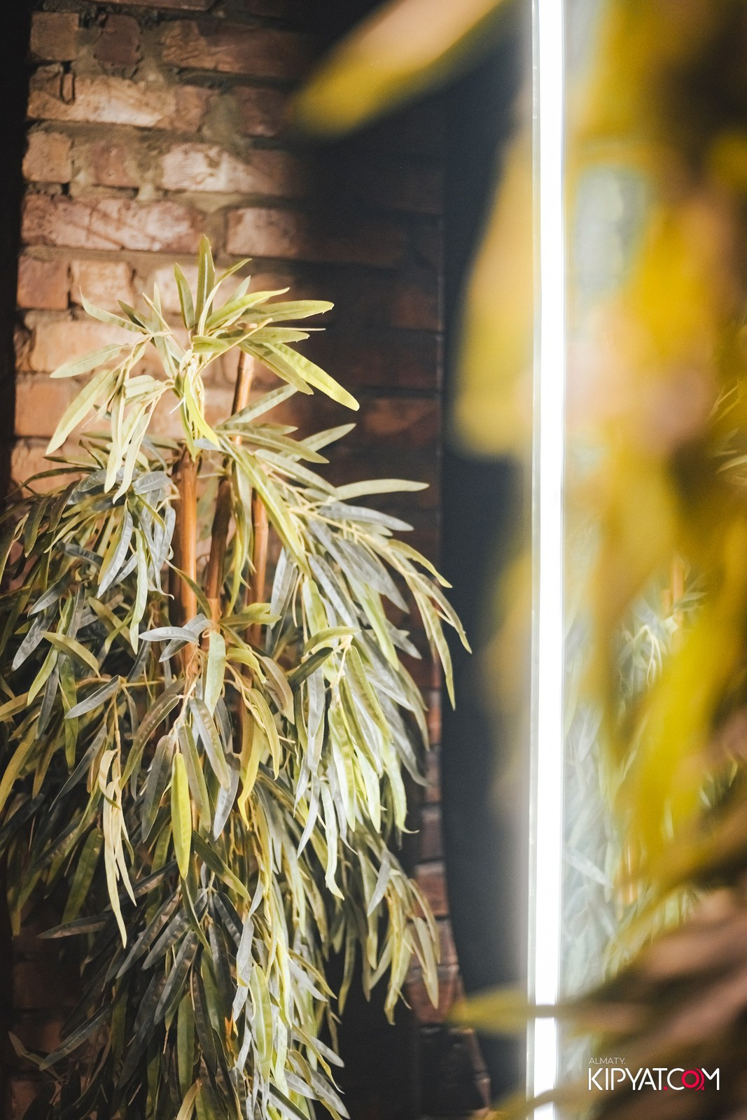 РЕСТО-БАР СКАНДАЛИСТЪ. КИПЯТКОМ АЛМАТЫ!