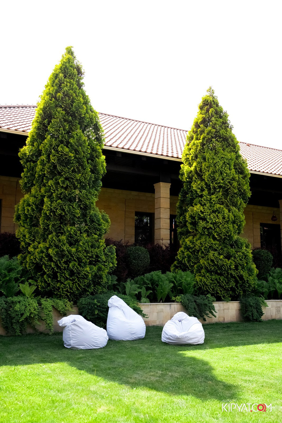 NEW YORK FILM ACADEMY. КИПЯТКОМ АЛМАТЫ!