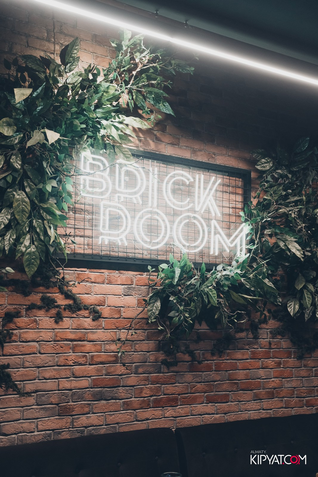 УХО И МЕДВЕДЬ НА КУРМАНГАЗЫ. КИПЯТКОМ АЛМАТЫ!