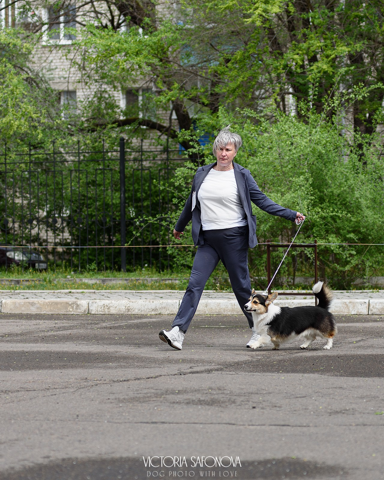 18–19 мая 2024 Благовещенск. Фотограф анималист Благовещенск. Сафонова Виктория
