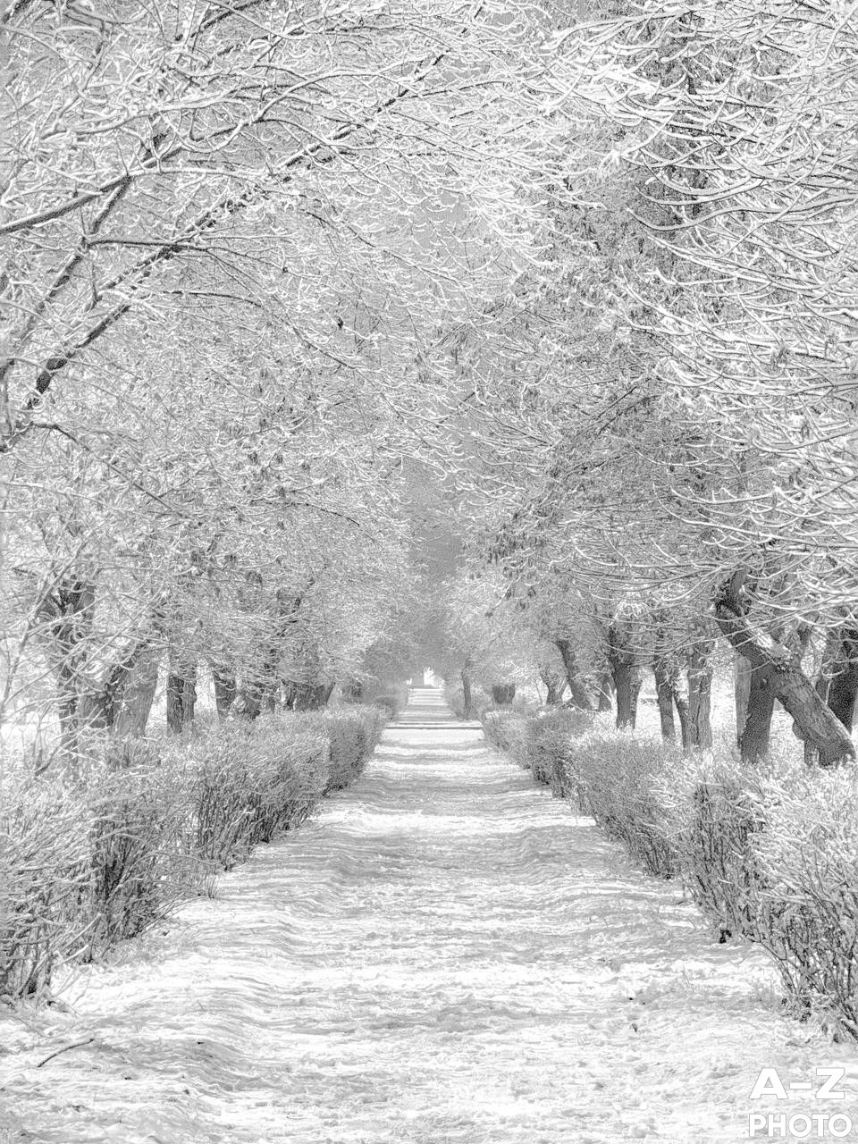 #ФОТОНЕДЕЛИ 08.12.2025. Женский семейный фотограф Тула Москва Захарова Анна