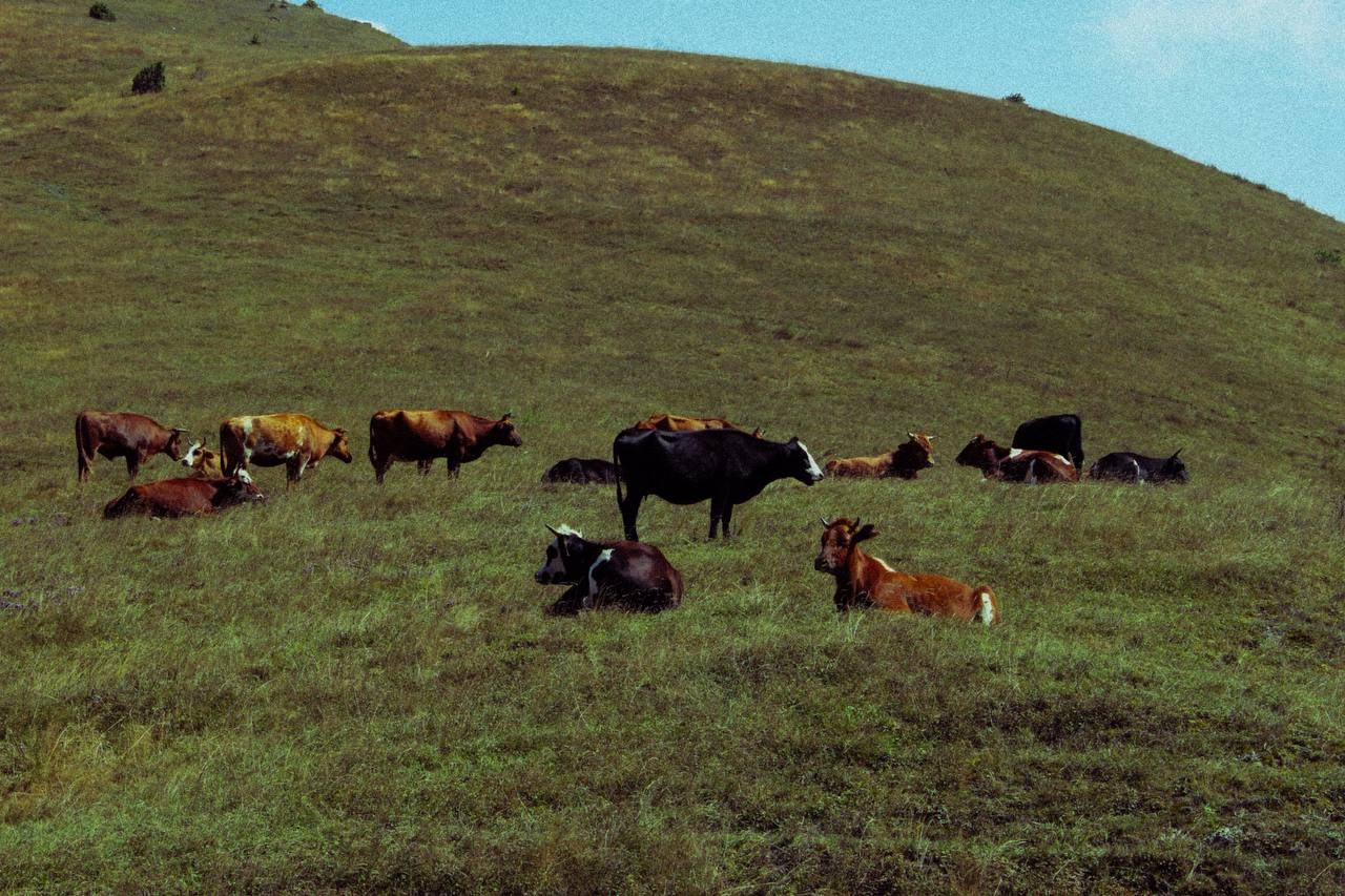 Travel projects. Репортажный и творческий фотограф в Москве Смольякова Анна
