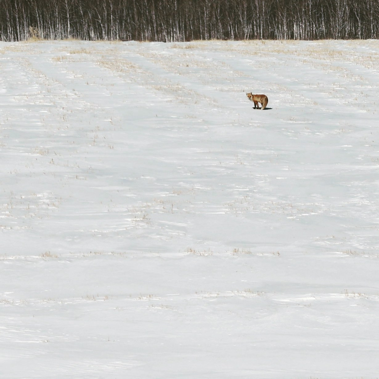 2022. Тащилин Сергей. Фотографии. Жизнь. Хобби