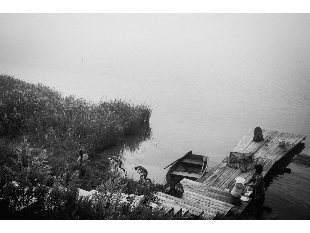 Bird Story. Misha Domozhilov photographer