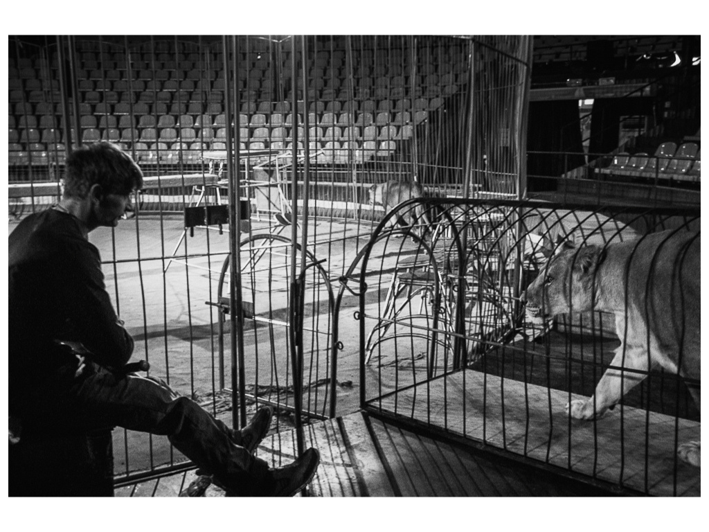 Cage. Misha Domozhilov photographer