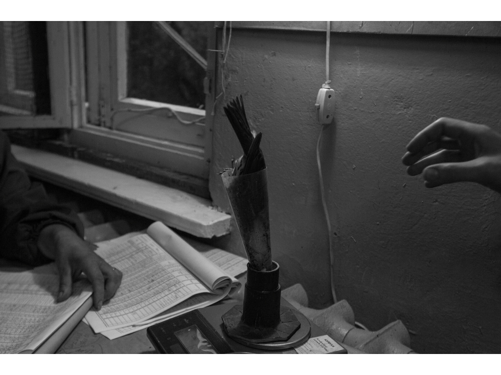 Bird Story. Misha Domozhilov photographer