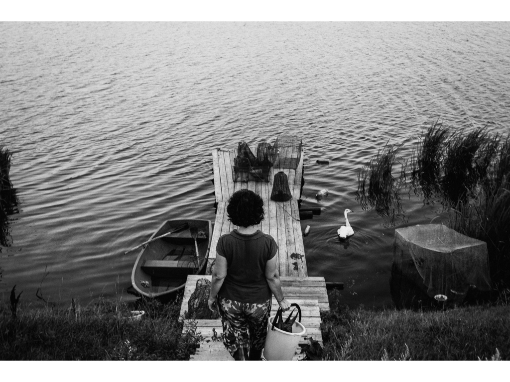 Bird Story. Misha Domozhilov photographer