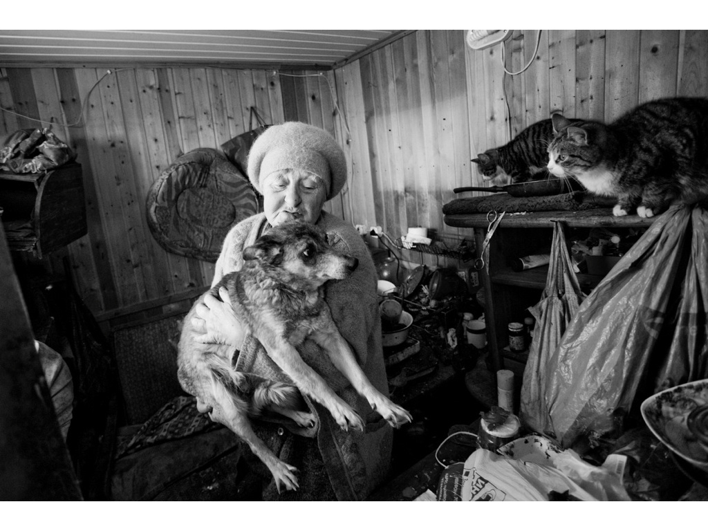 Ark. Misha Domozhilov photographer