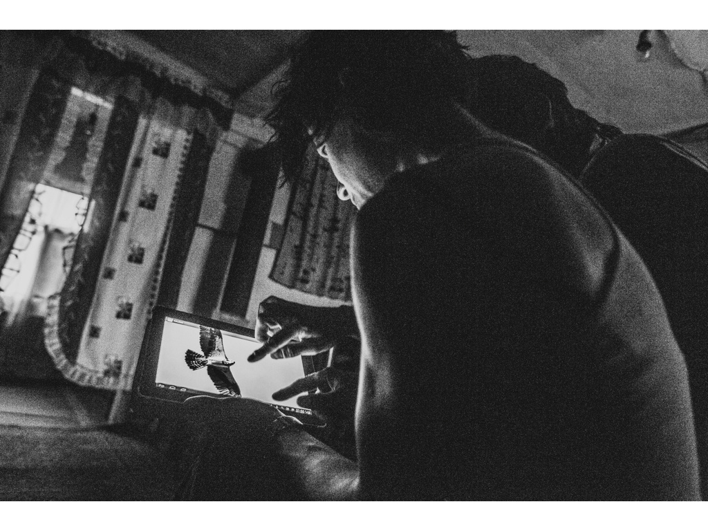 Bird Story. Misha Domozhilov photographer