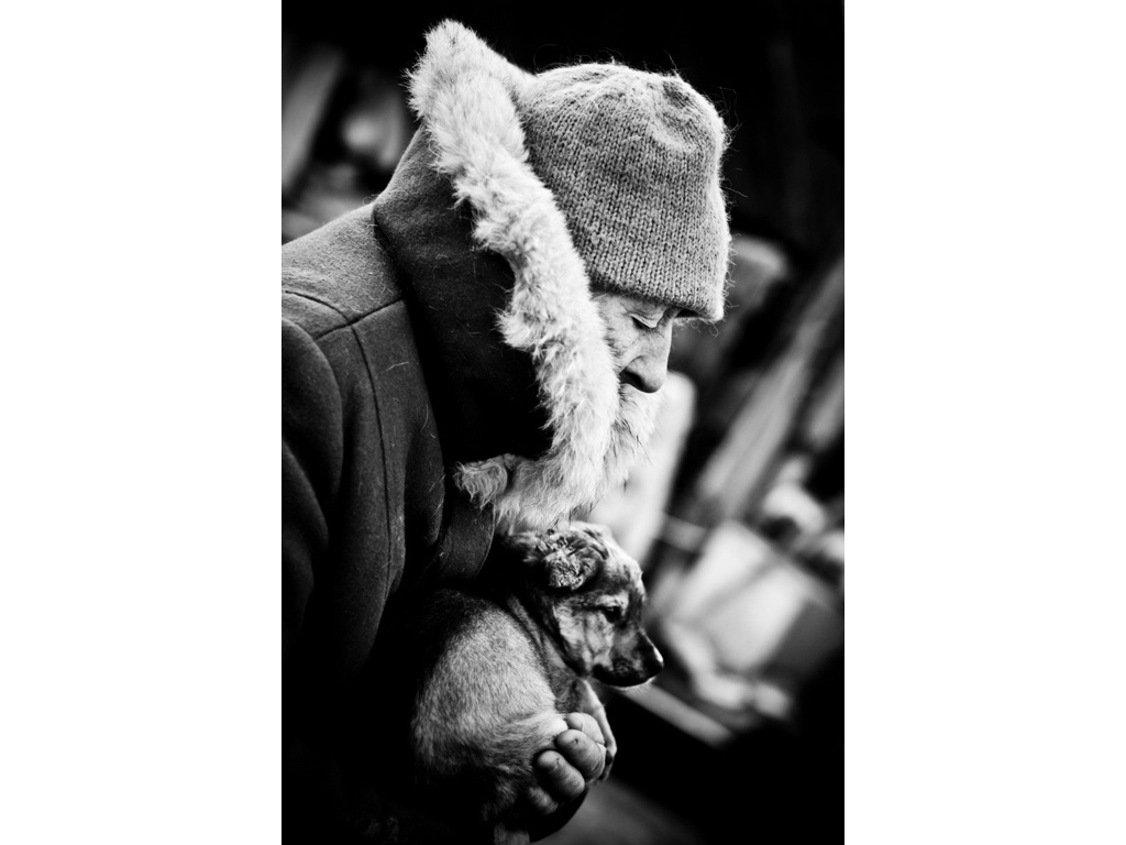 Ark. Misha Domozhilov photographer