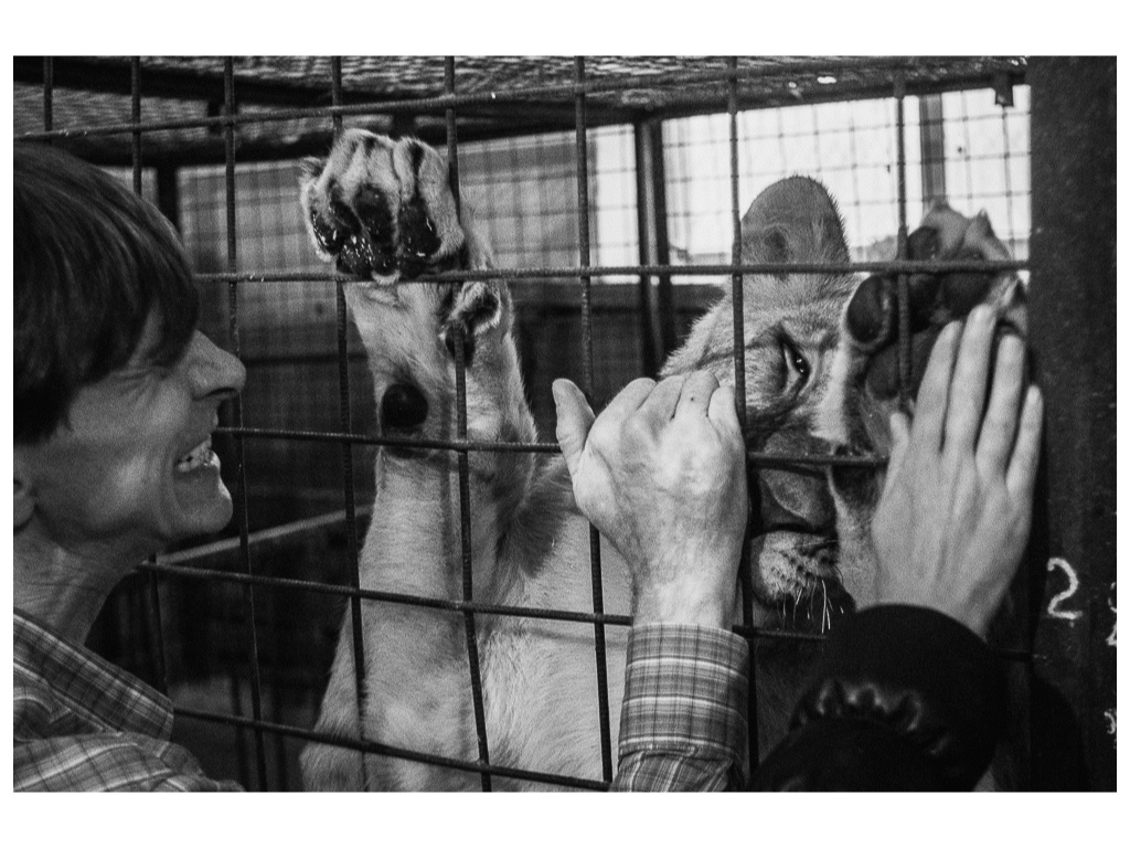 Cage. Misha Domozhilov photographer