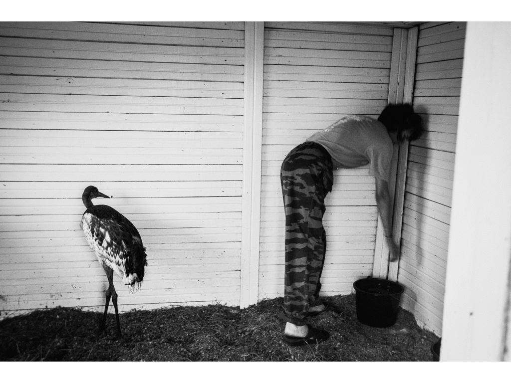 Bird Story. Misha Domozhilov photographer