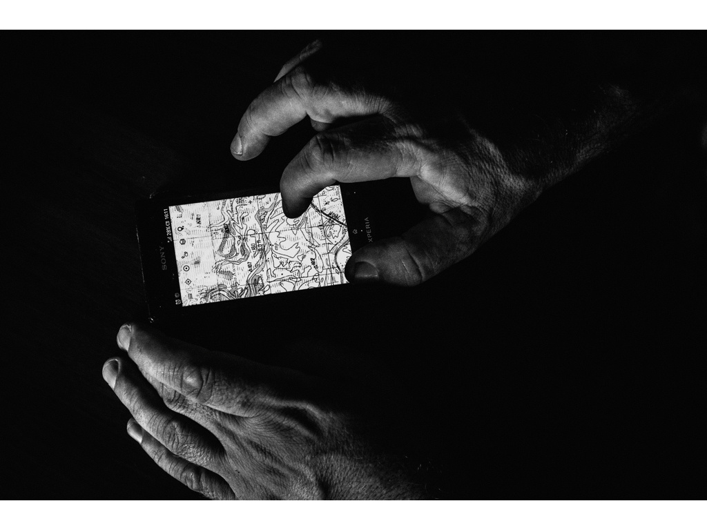 Bird Story. Misha Domozhilov photographer