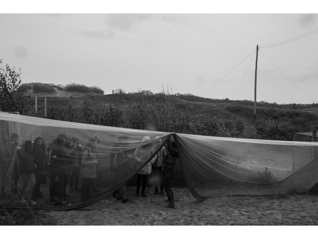 Bird Story. Misha Domozhilov photographer