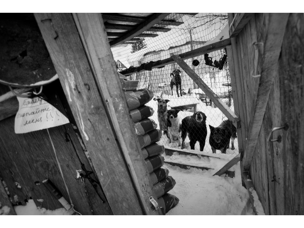 Ark. Misha Domozhilov photographer