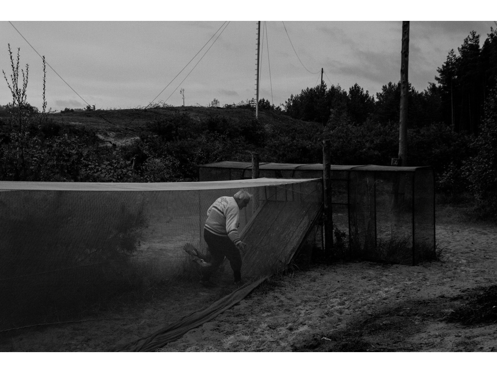 Bird Story. Misha Domozhilov photographer