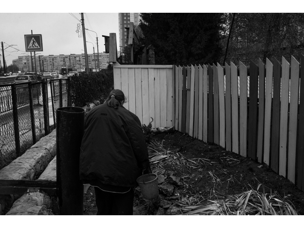 Bird Story. Misha Domozhilov photographer