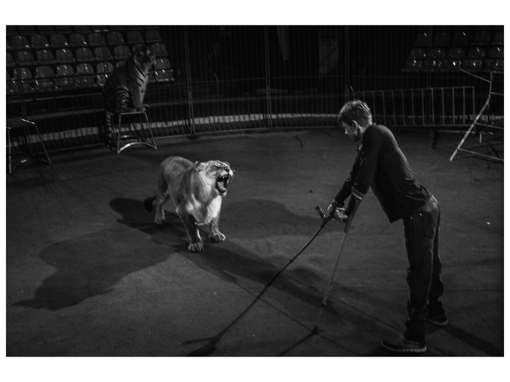 Cage. Misha Domozhilov photographer