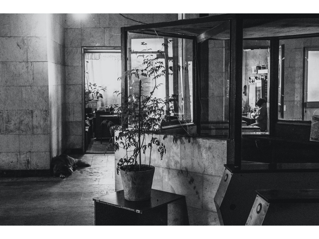 Cremlin Stars. Misha Domozhilov photographer