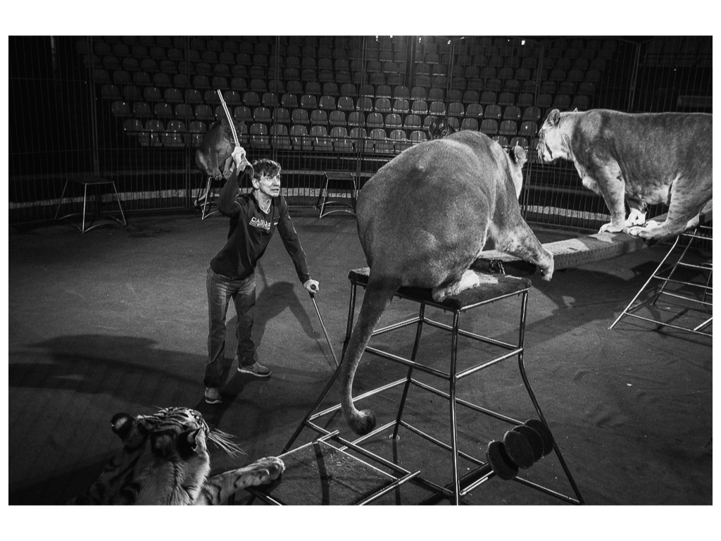 Cage. Misha Domozhilov photographer