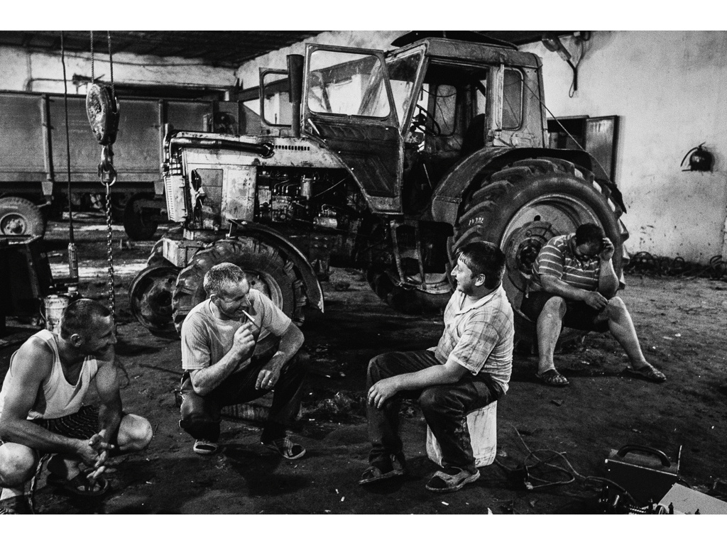 Bizons. Misha Domozhilov photographer