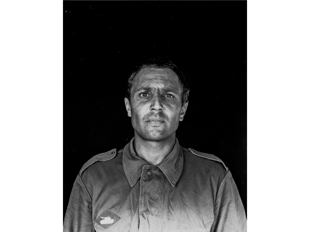 ID. Misha Domozhilov photographer