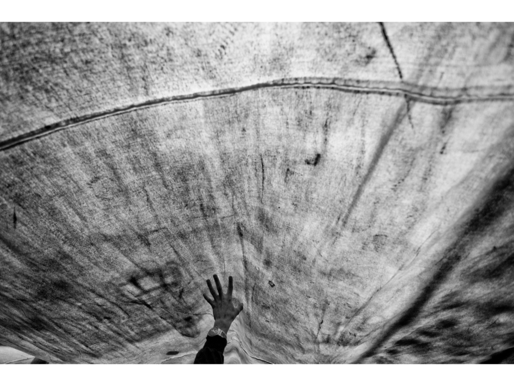 Ultras. Misha Domozhilov photographer