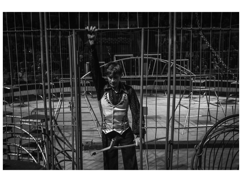 Cage. Misha Domozhilov photographer